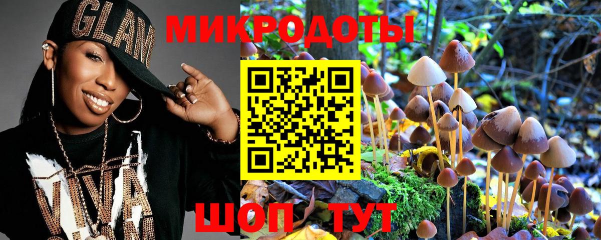 Галлюциногенные грибы Psilocybine cubensis Чебоксары
